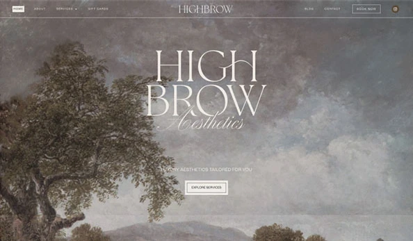 HighBrow Aesthetics website